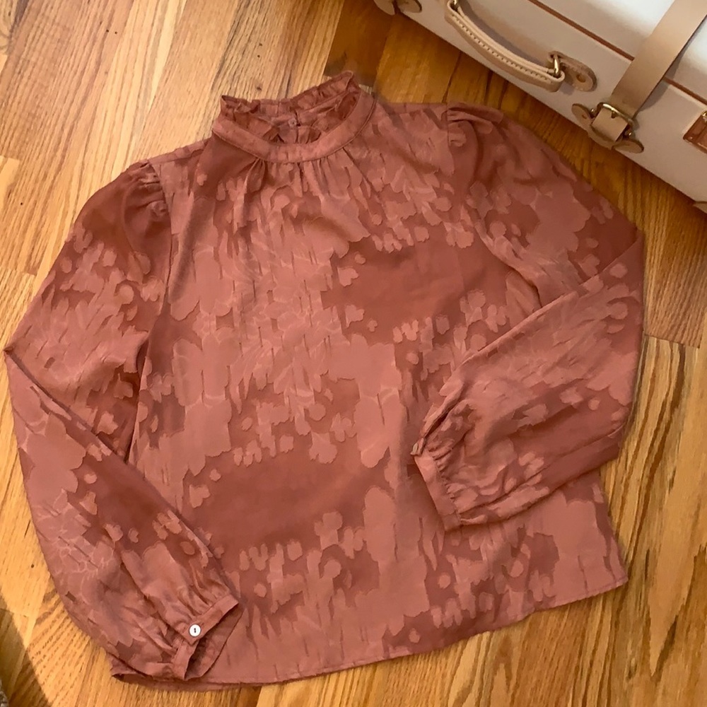 Anthropologie Rust Blouse